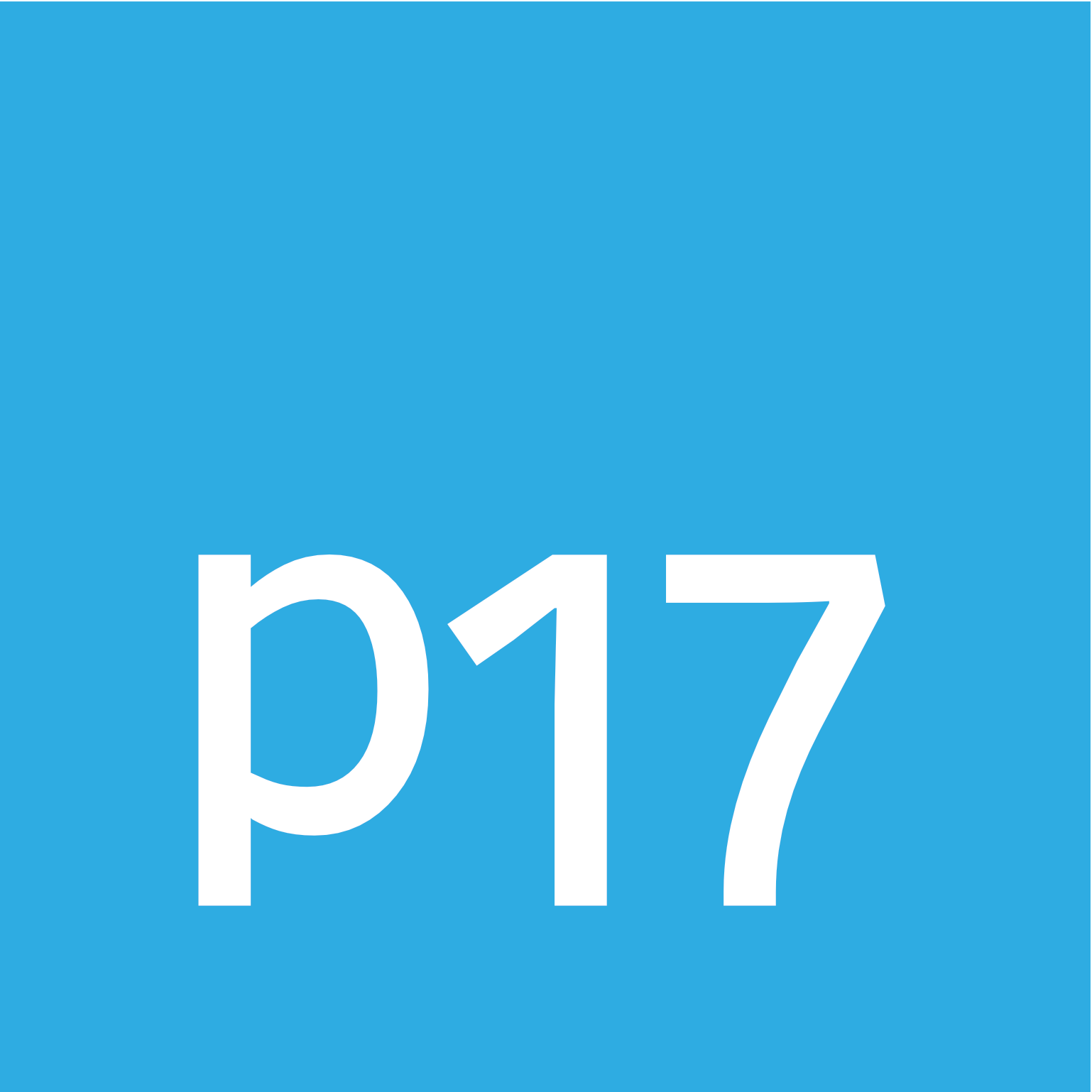 p17 GmbH - cobra Solutions Partner